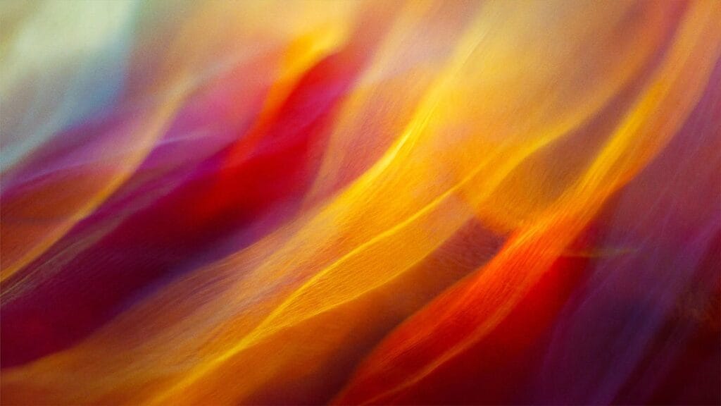 Adobe Google Cloud Expand Creative AI Partnership